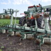 Speed Wheel Cultivator - Image 6