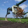 Speed Wheel Cultivator - Image 10