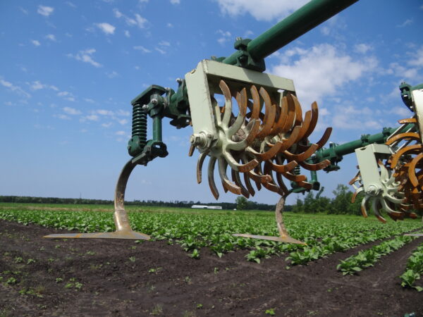 Speed Wheel Cultivator - Image 10
