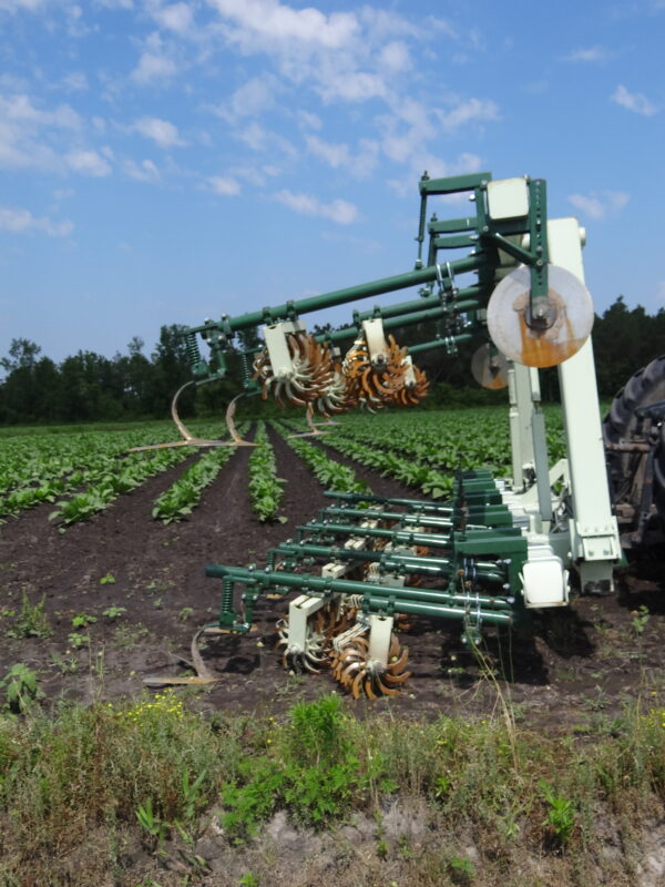 Speed Wheel Cultivator - Image 12