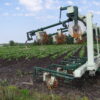 Speed Wheel Cultivator - Image 13