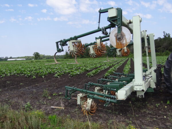 Speed Wheel Cultivator - Image 13