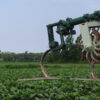Speed Wheel Cultivator - Image 14