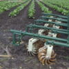 Speed Wheel Cultivator - Image 15