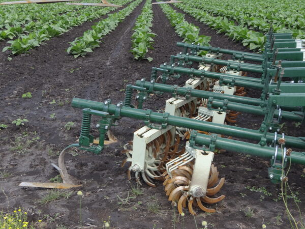 Speed Wheel Cultivator - Image 15