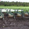 Speed Wheel Cultivator - Image 19