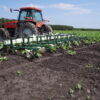 Speed Wheel Cultivator - Image 40