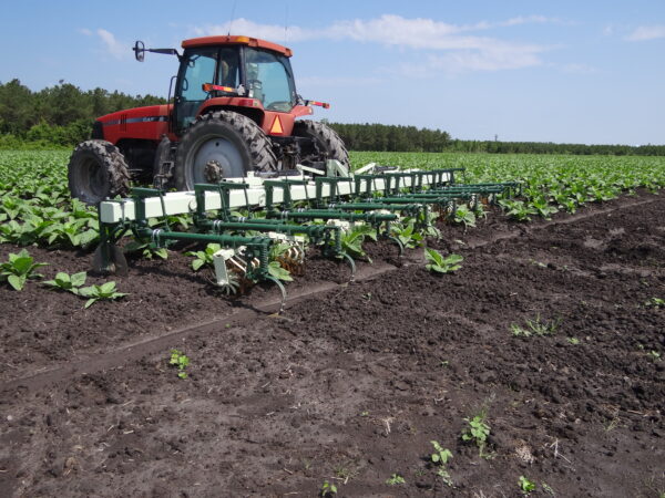 Speed Wheel Cultivator - Image 40