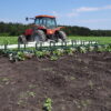 Speed Wheel Cultivator - Image 41