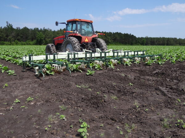 Speed Wheel Cultivator - Image 41