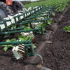 Speed Wheel Cultivator - Image 42