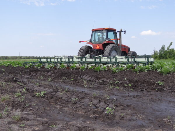 Speed Wheel Cultivator - Image 44