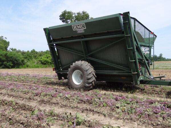 Dump Cart - Image 2