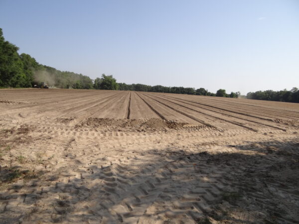 6800 Series Ripper Bedder - Image 10