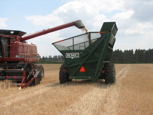 Dump Cart - Image 15