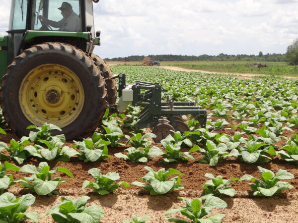 Wide Sweep Cultivator - Image 10