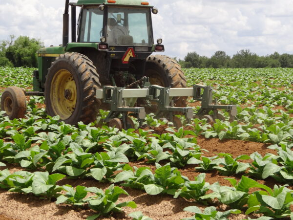 Wide Sweep Cultivator - Image 2