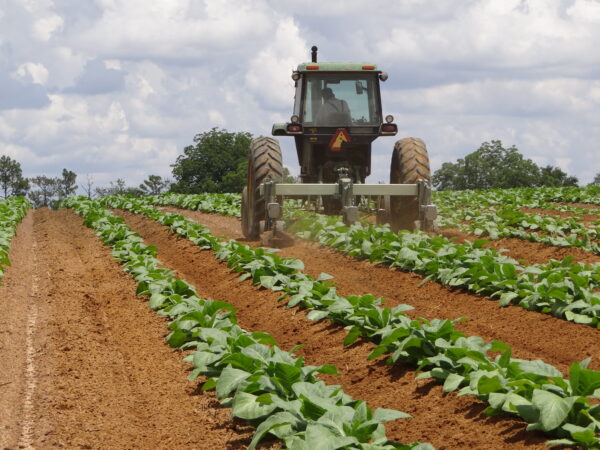 Wide Sweep Cultivator - Image 11